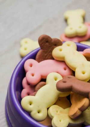 Receita de Biscoito para Cachorro